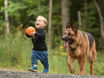 They have such a great bond! (Jake and Elliot)